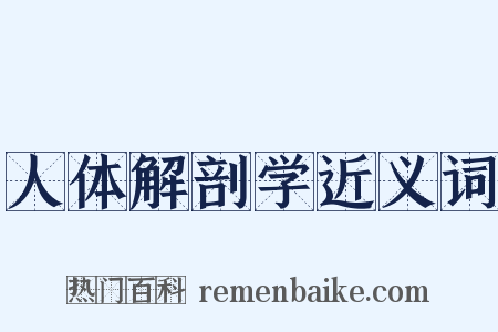 人体解剖学近义词是什么意思的图片